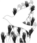 Taube mit schwarzen und weißen Händen.